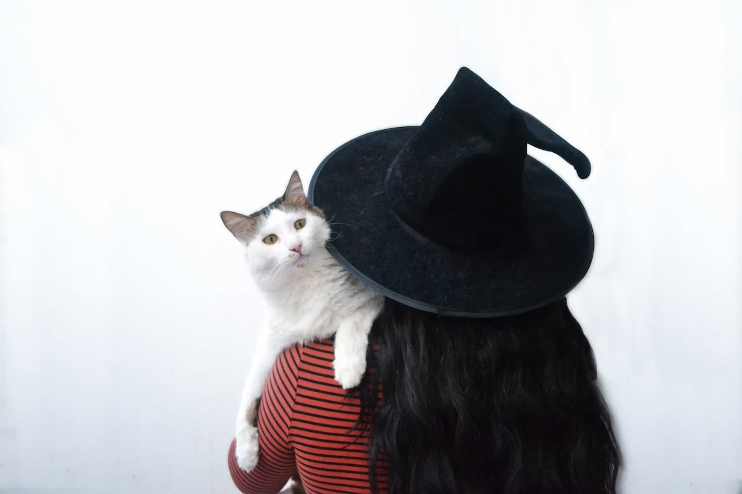adult halloween costume witch holding cat