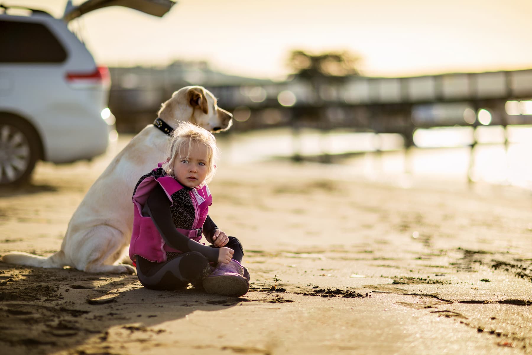 girl and dog on beach