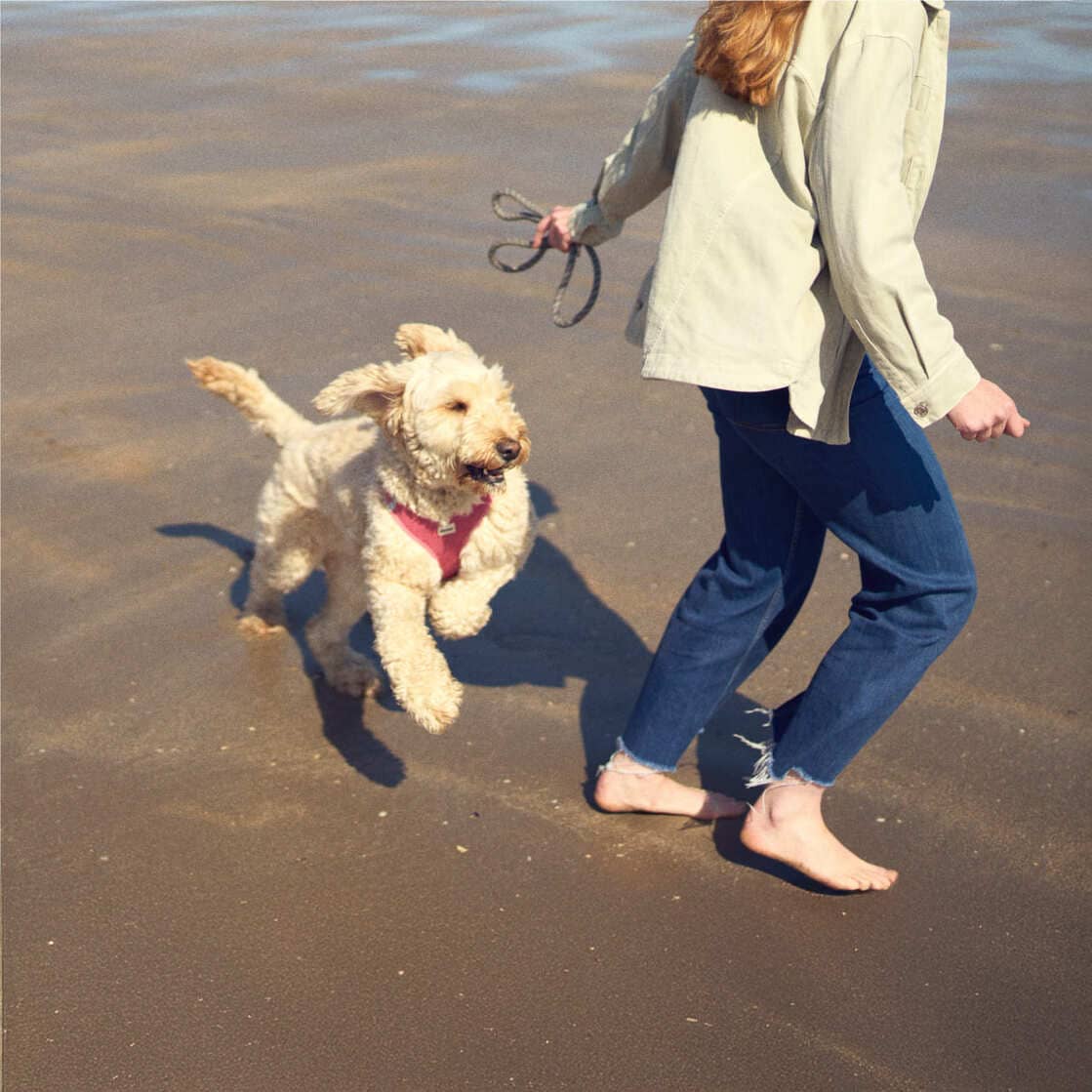 a woman and her dog on the beach