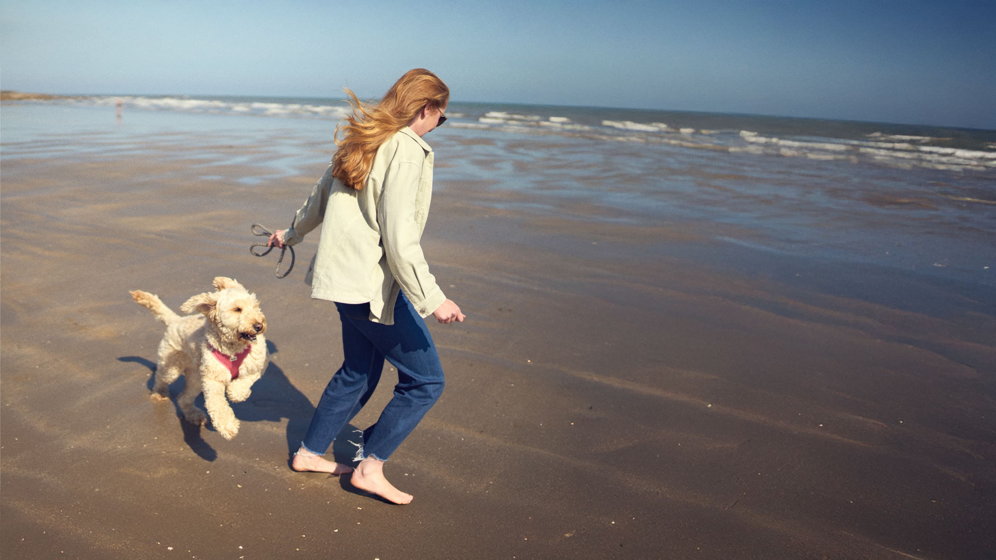 pet owner walking dog on beach
