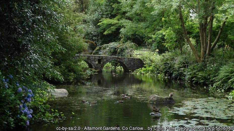 beautiful irish stream
