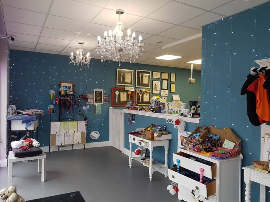 Inside dog salon