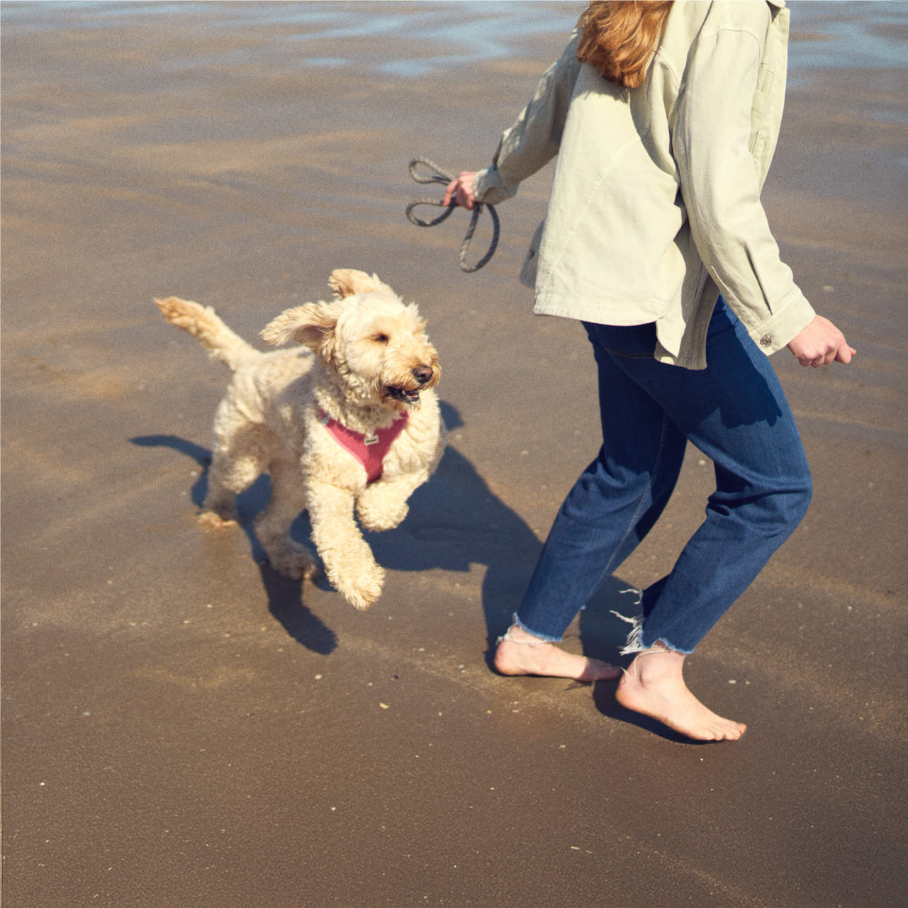 pet owner and healthy dog running on the beach in Ireland