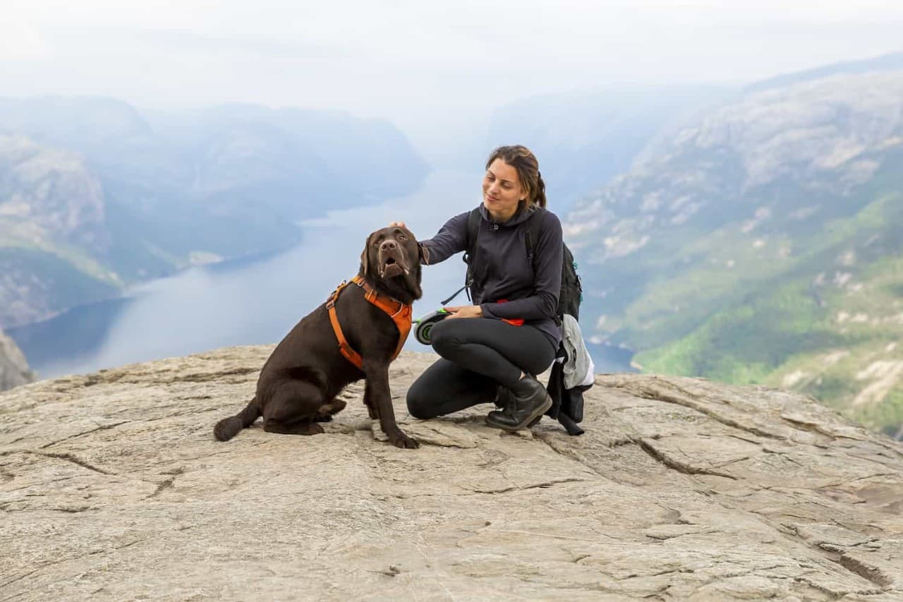 Girl hiking with dog