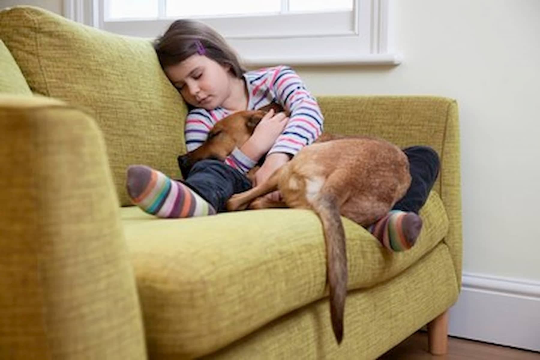 Sleeping child hugging dog on couch