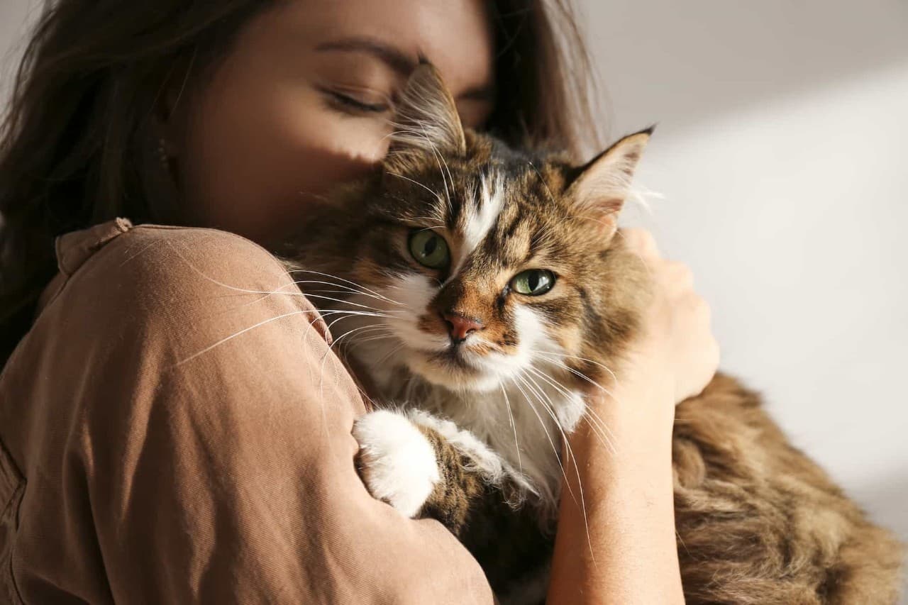 Woman hugging cat