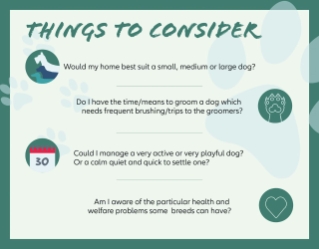 Things to consider poster