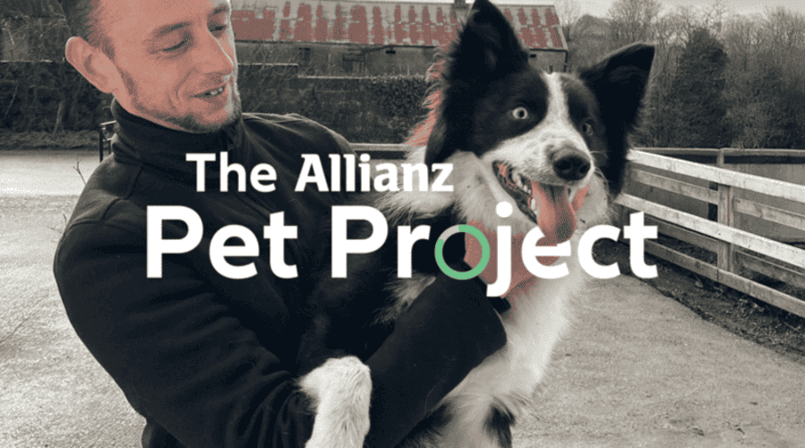 The Allianz Pet Project
