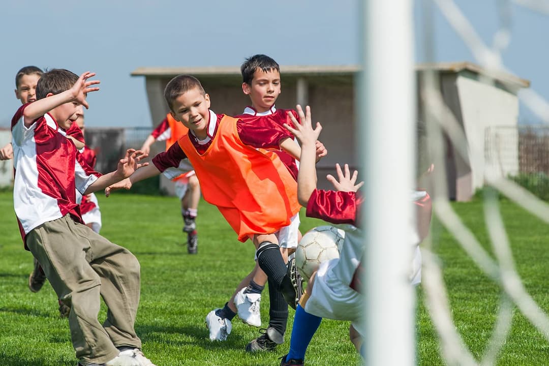 useful description of image if informative and not decoration only.