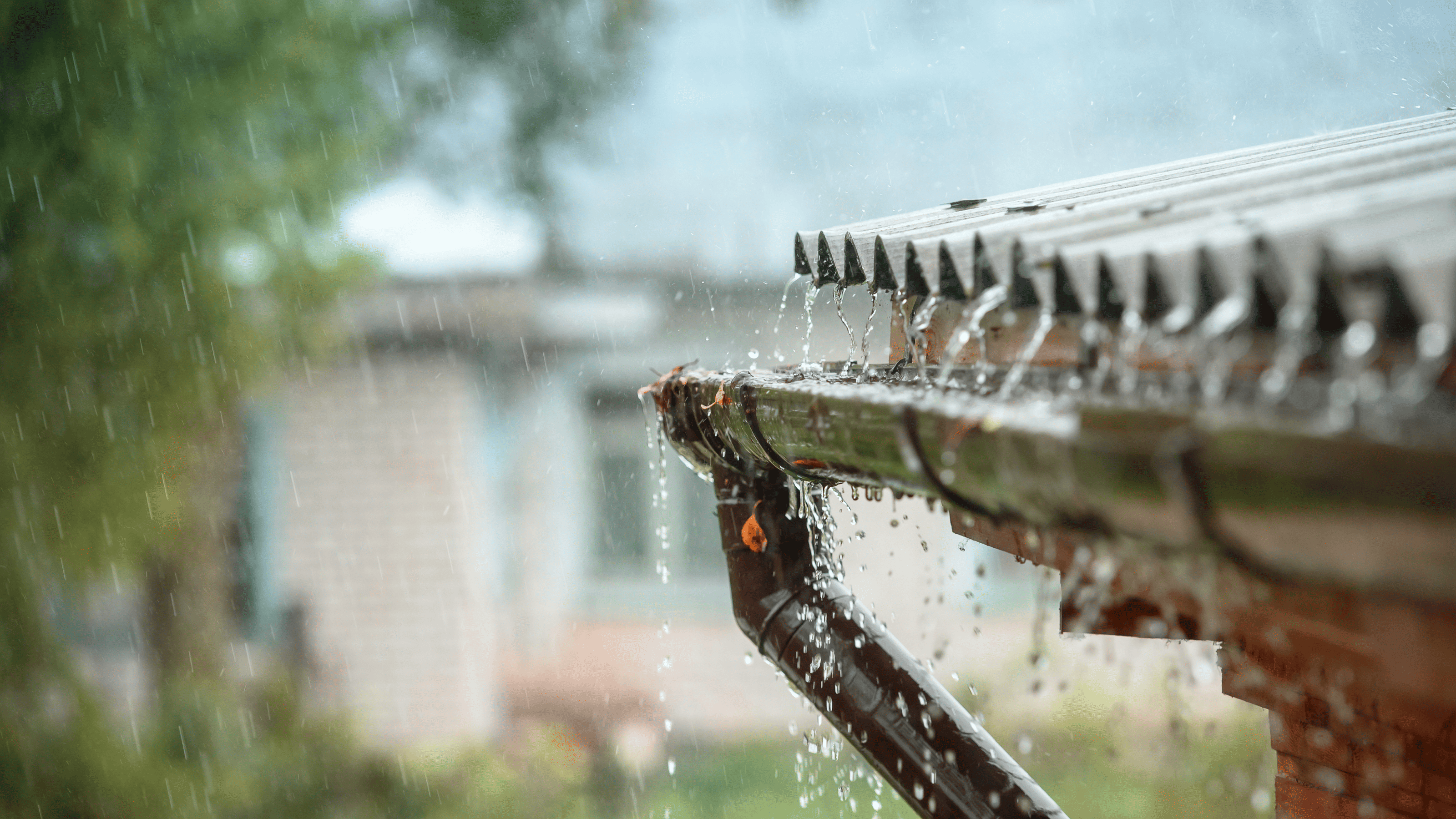 rain pouring from shed roof